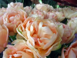 Tulipshow (5)